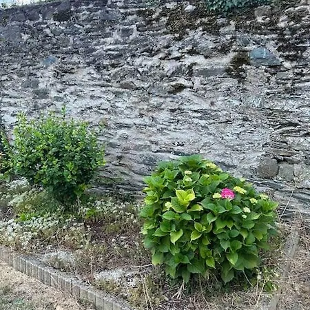 펜션 Downtown Cozy - 4 Pl -