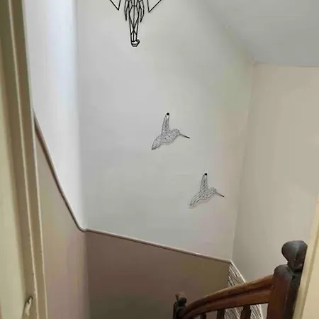 Tatil Evi Downtown Cozy - 4 Pl -