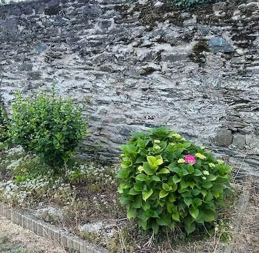 Дом отдыха Downtown Cozy - 4 Pl -